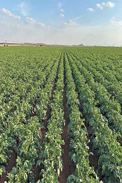 Farming