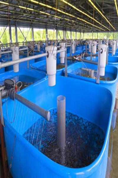 Farming