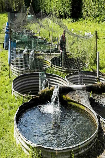 Farming