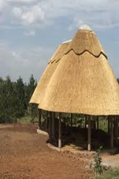 Thatched roof
