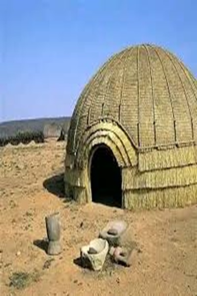 Amaqhugwane
